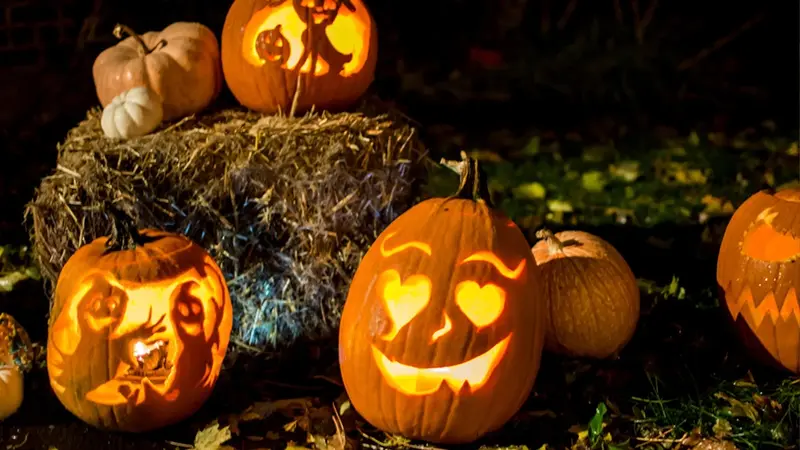 Pumpkin Carving Ideas